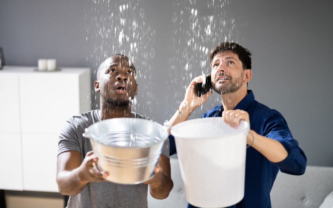 What To Do If You Have a Water Leak